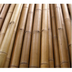 bambou-decoration-de-jardin