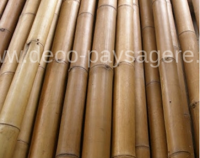 Bambou naturel