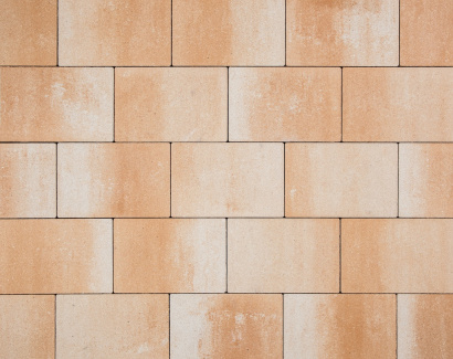 pave-realta-20-30-savane