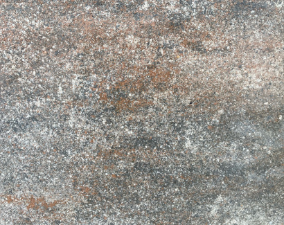 pave-realta-forrest_2029469118