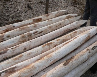 Poteaux ronds châtaignier écorcés