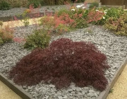 realisations realisations massifs deco paysagere