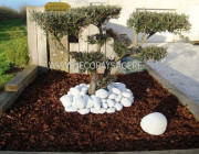 realisations realisations massifs deco paysagere